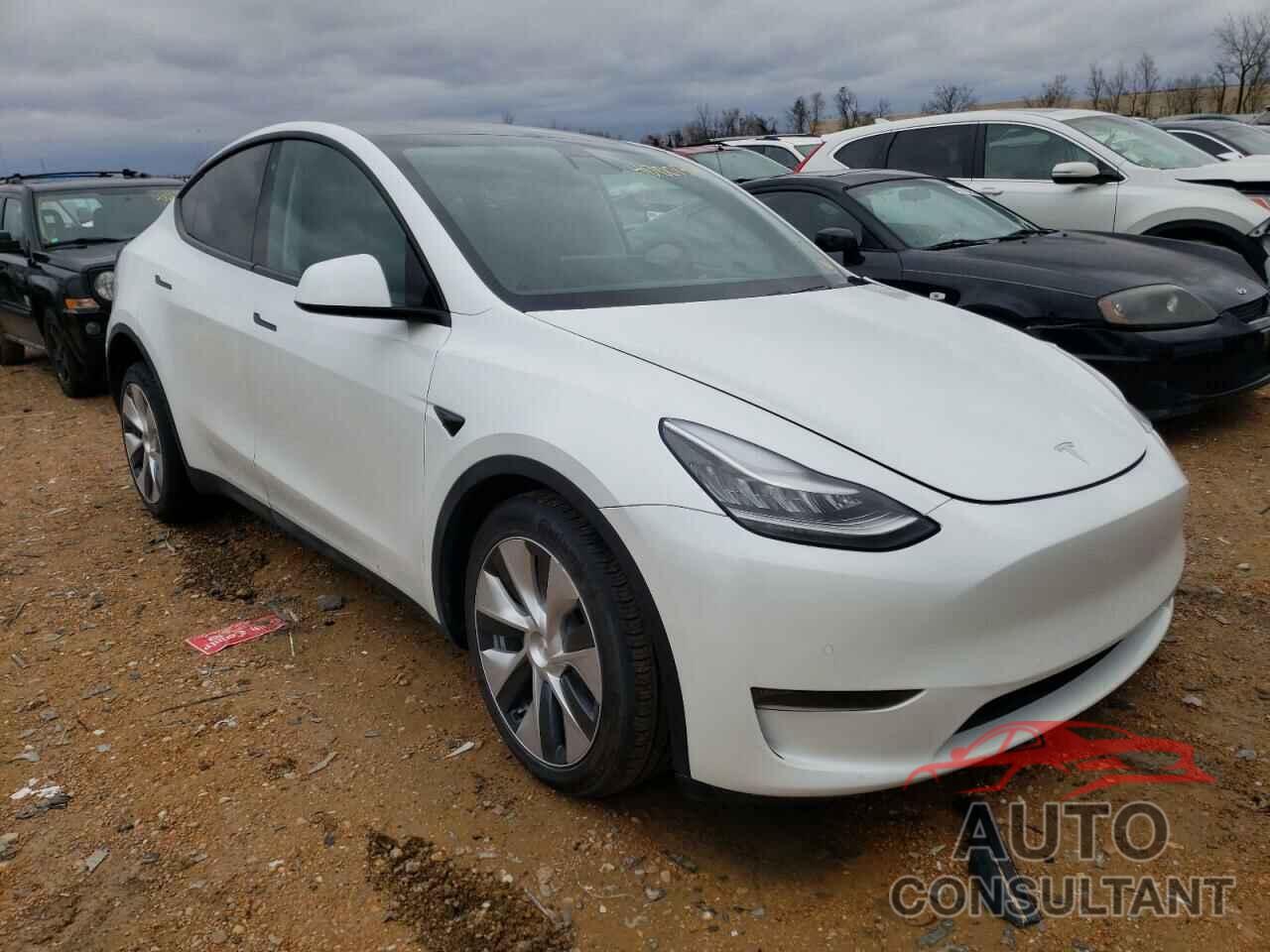 TESLA MODEL Y 2020 - 5YJYGDEE6LF012492