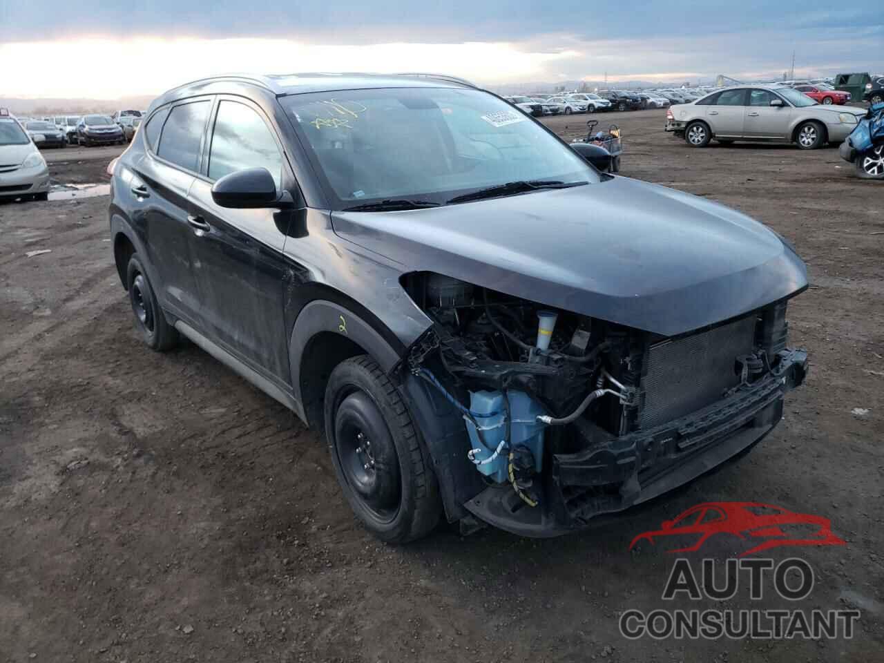 HYUNDAI TUCSON 2017 - KM8J3CA42HU315736