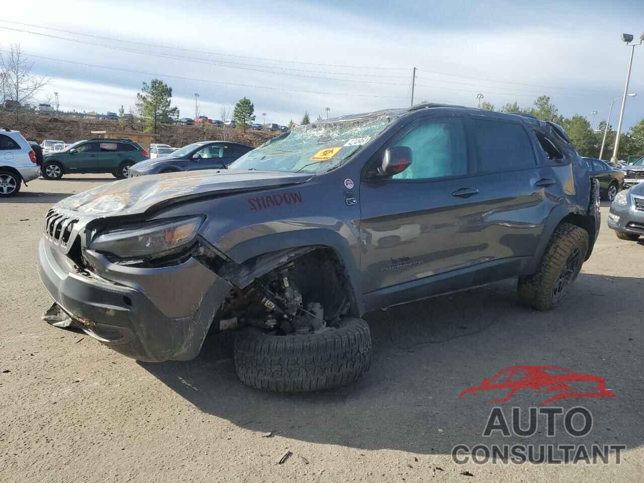 JEEP CHEROKEE 2019 - 1C4PJMBX4KD463347