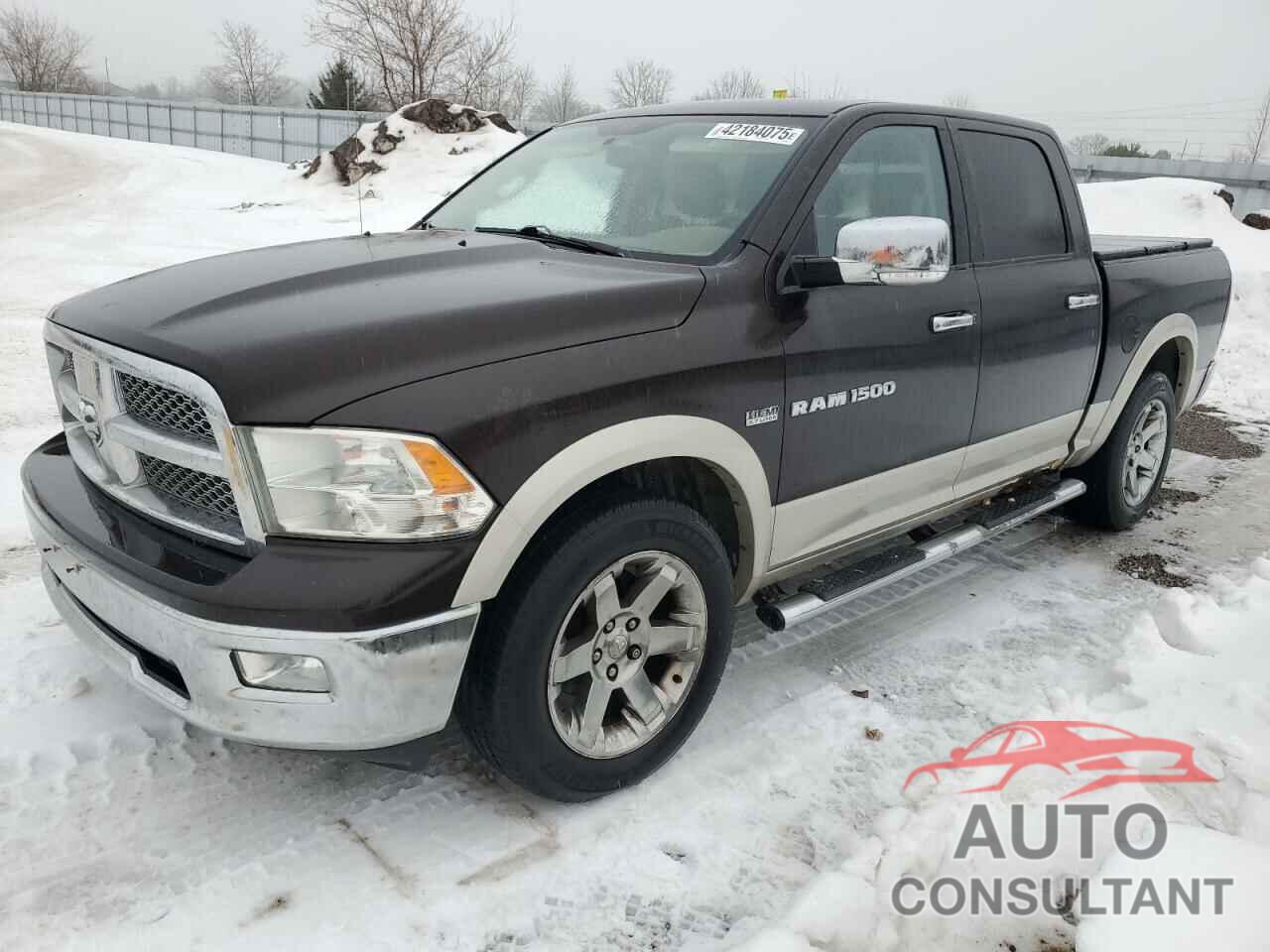 DODGE All Models 2011 - 1D7RV1CT9BS592001