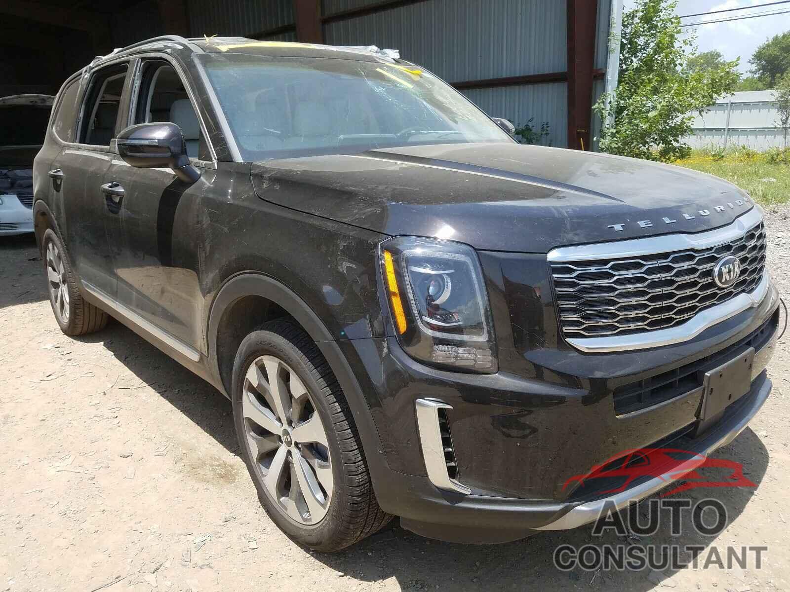 KIA TELLURIDE 2021 - 5XYP64HC8MG159576