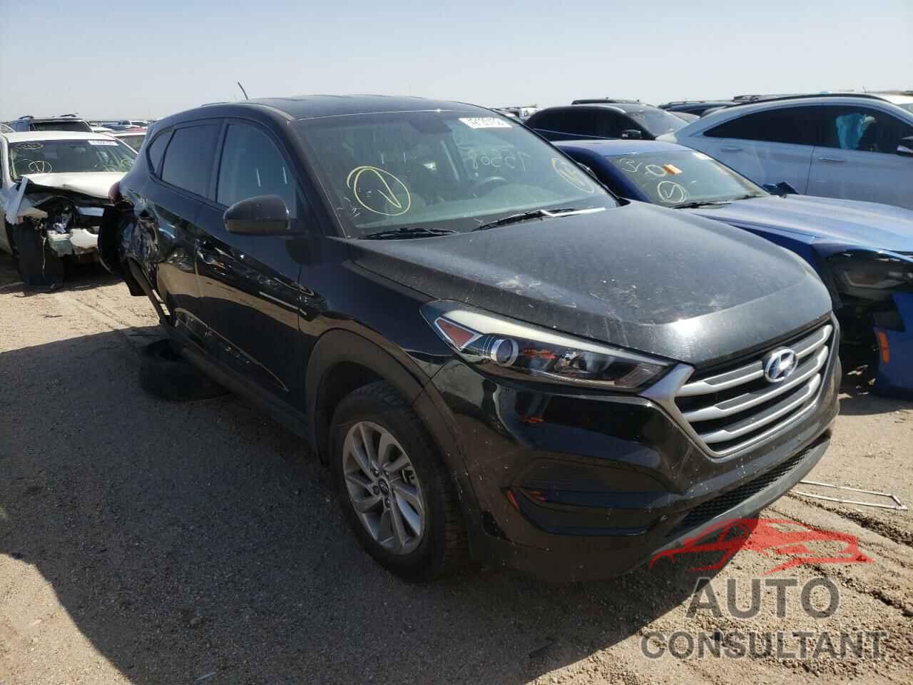 HYUNDAI TUCSON 2017 - KM8J23A46HU313880