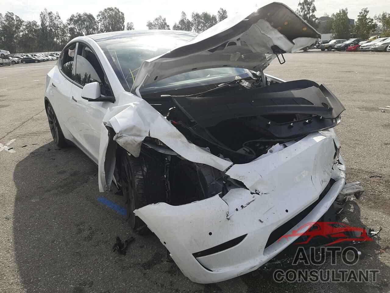 TESLA MODEL Y 2022 - 7SAYGDEF7NF344066