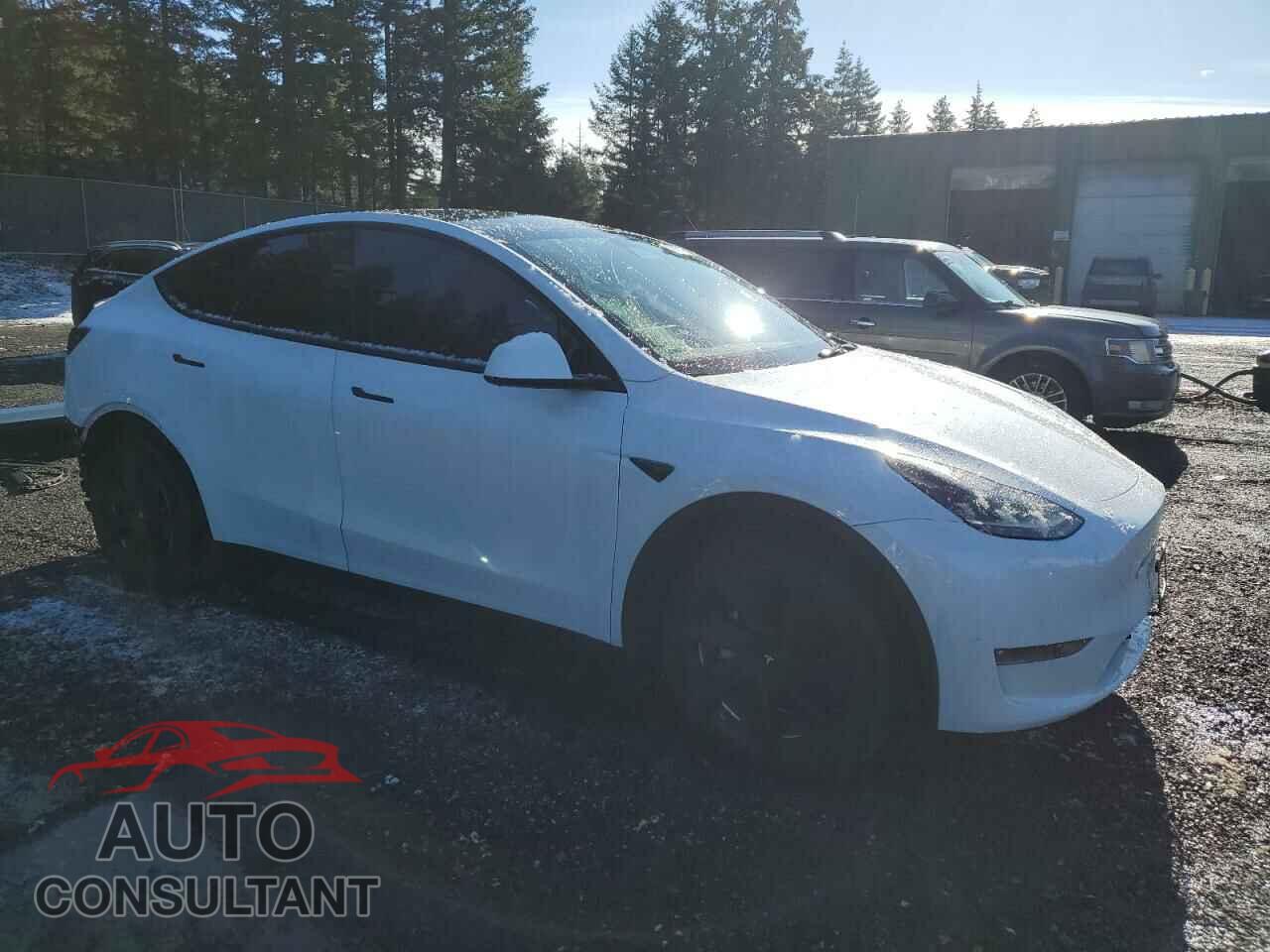 TESLA MODEL Y 2023 - 7SAYGDEE0PF683083