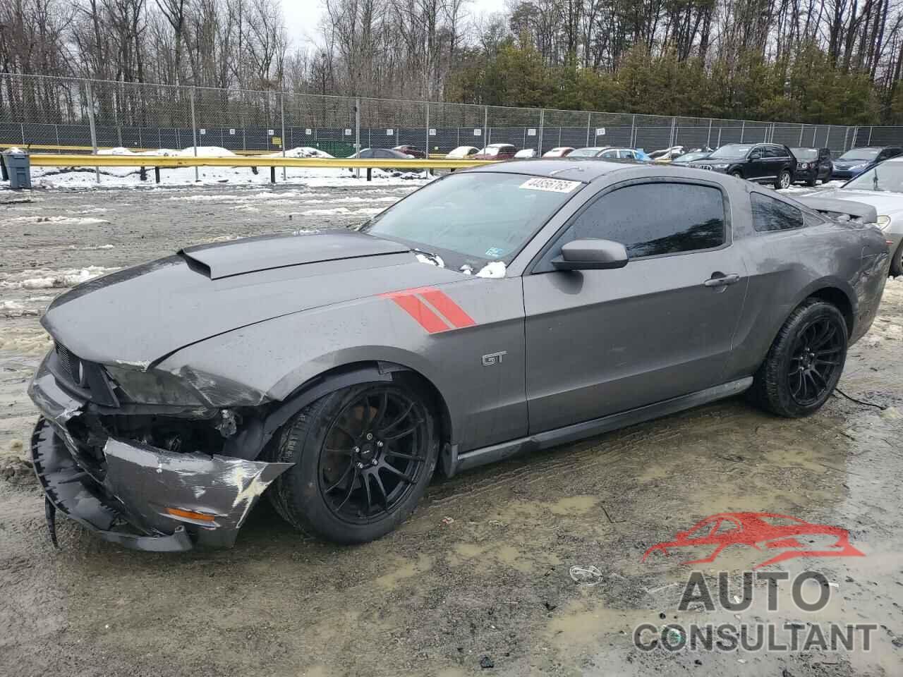 FORD MUSTANG 2010 - 1ZVBP8CH2A5179888