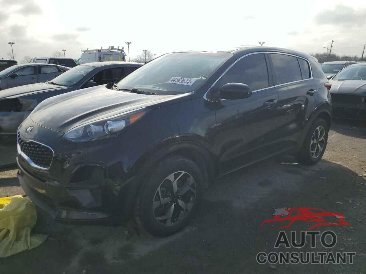 KIA SPORTAGE 2022 - KNDPM3AC7N7024162