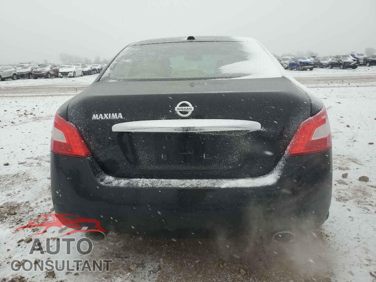 NISSAN MAXIMA 2011 - 1N4AA5AP3BC841859