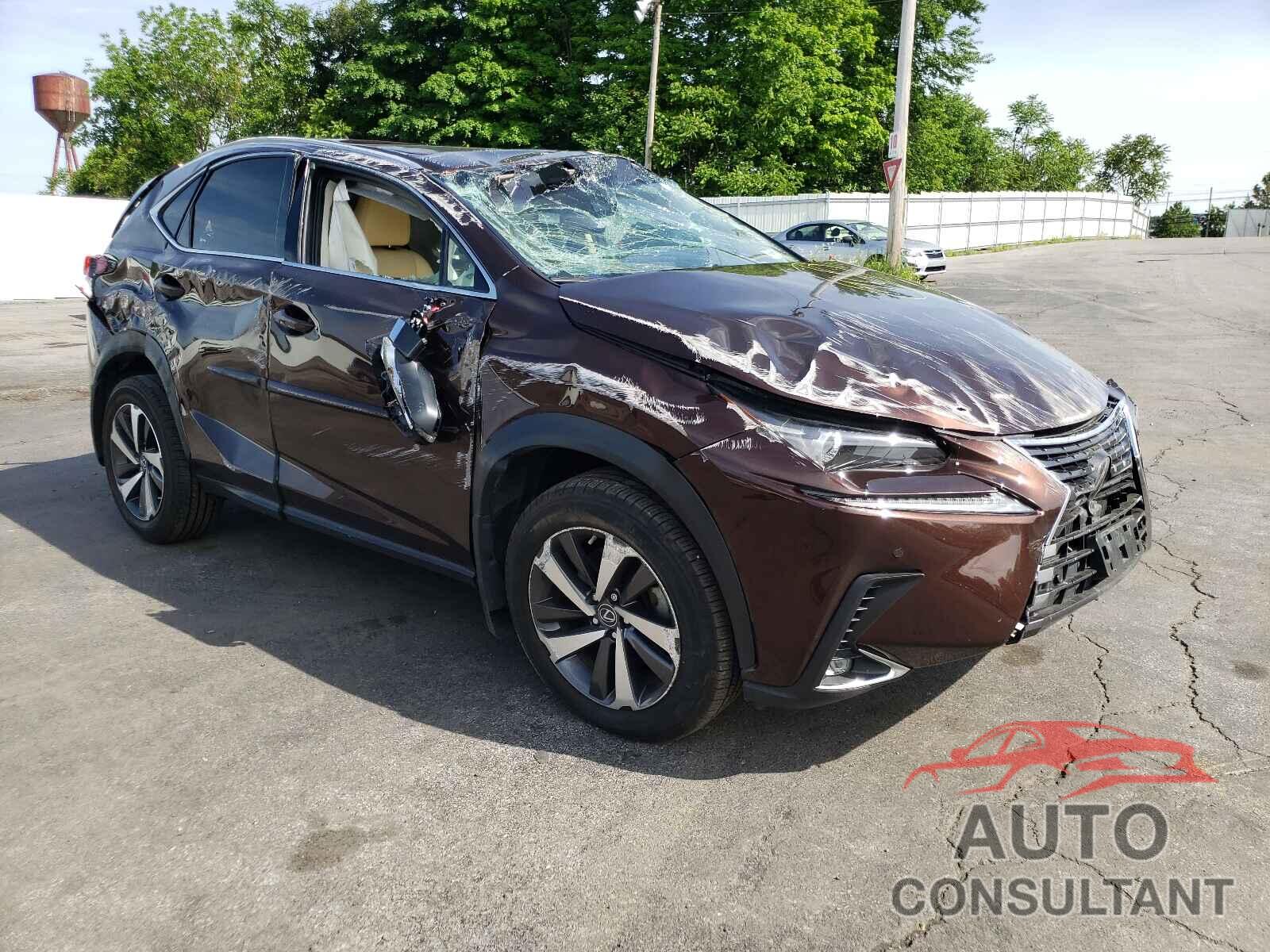 LEXUS NX 2019 - JTJBARBZ1K2194600