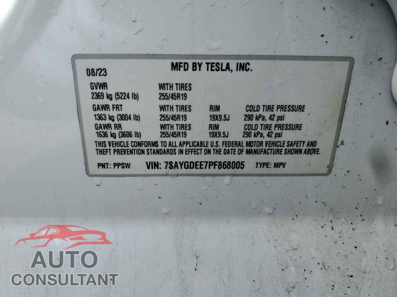 TESLA MODEL Y 2023 - 7SAYGDEE7PF868005