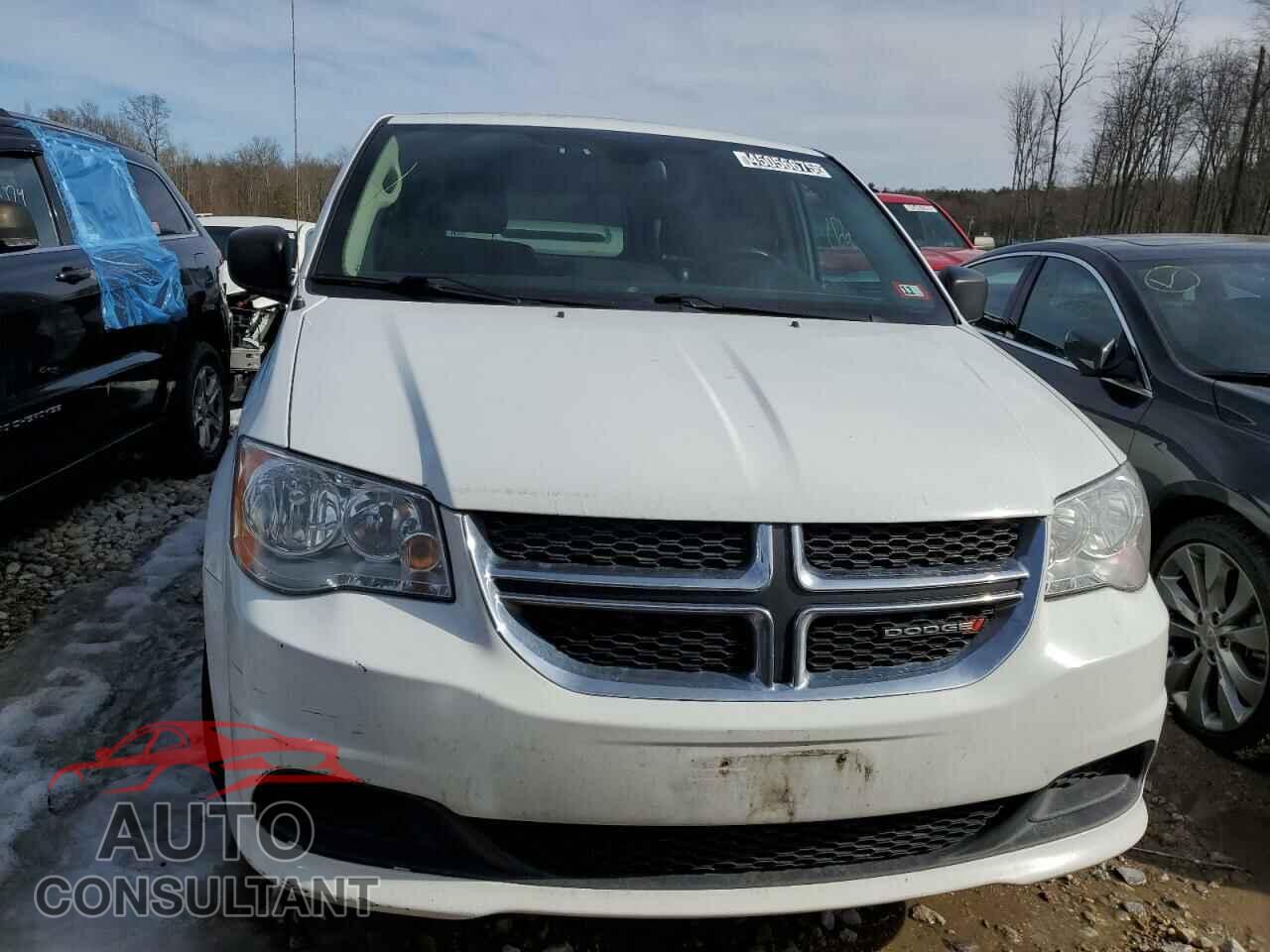 DODGE CARAVAN 2019 - 2C4RDGBG3KR649430