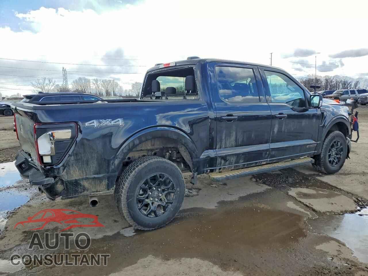 FORD F150 2025 - 1FTFW3LD8SFB66615