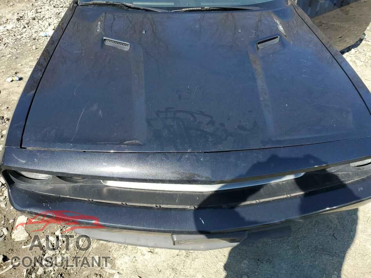 DODGE CHALLENGER 2014 - 2C3CDYBT5EH108936