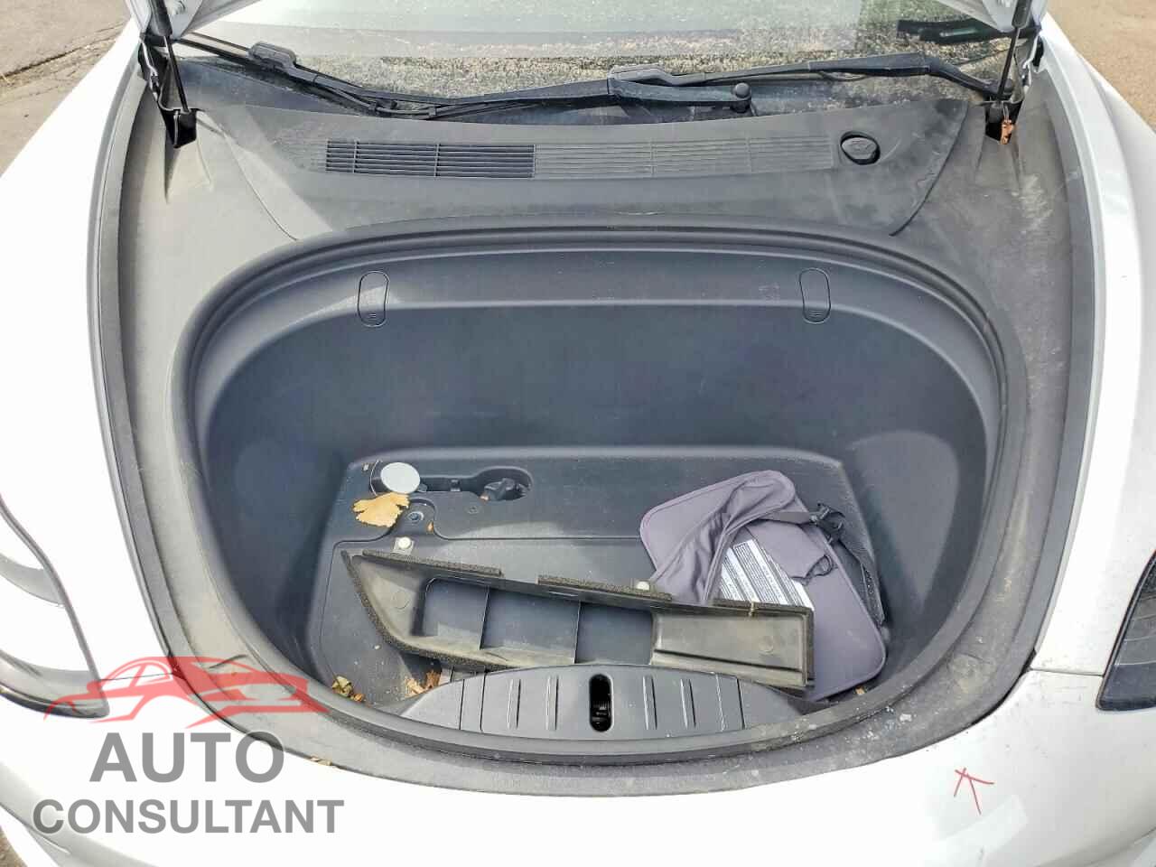 TESLA MODEL 3 2019 - 5YJ3E1EA5KF396954