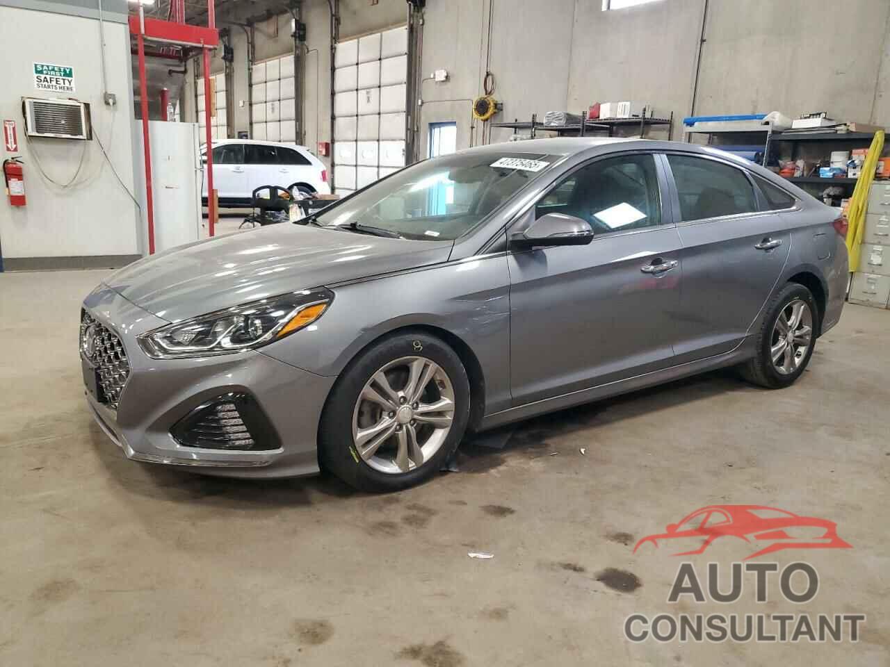 HYUNDAI SONATA 2019 - 5NPE34AF5KH761667