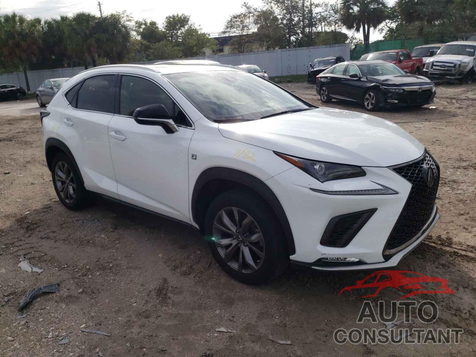 LEXUS NX 2019 - JTJYARBZ2K2155573