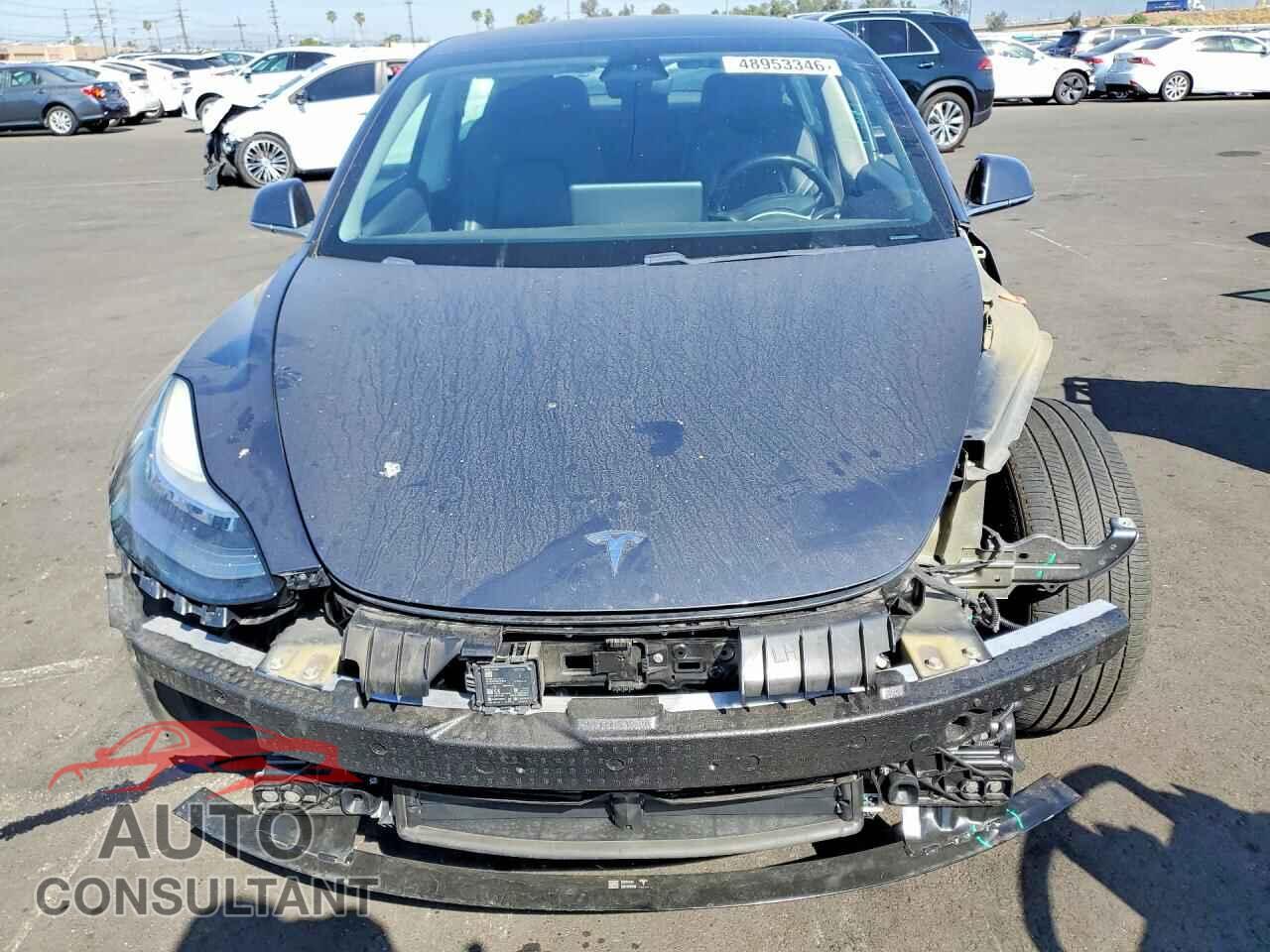 TESLA MODEL 3 2019 - 5YJ3E1EB7KF432541