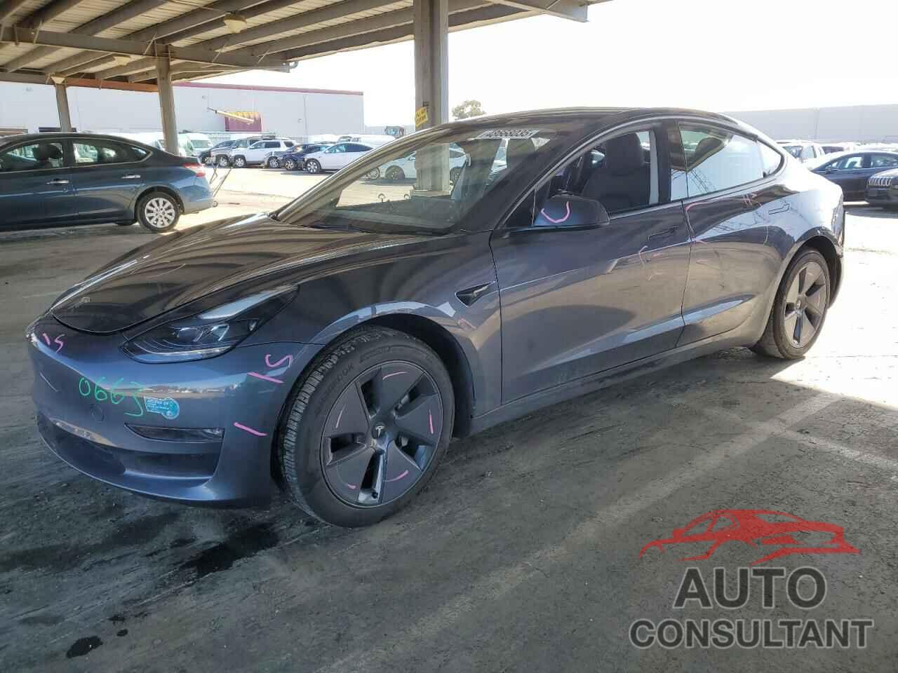 TESLA MODEL 3 2023 - 5YJ3E1EB3PF705515