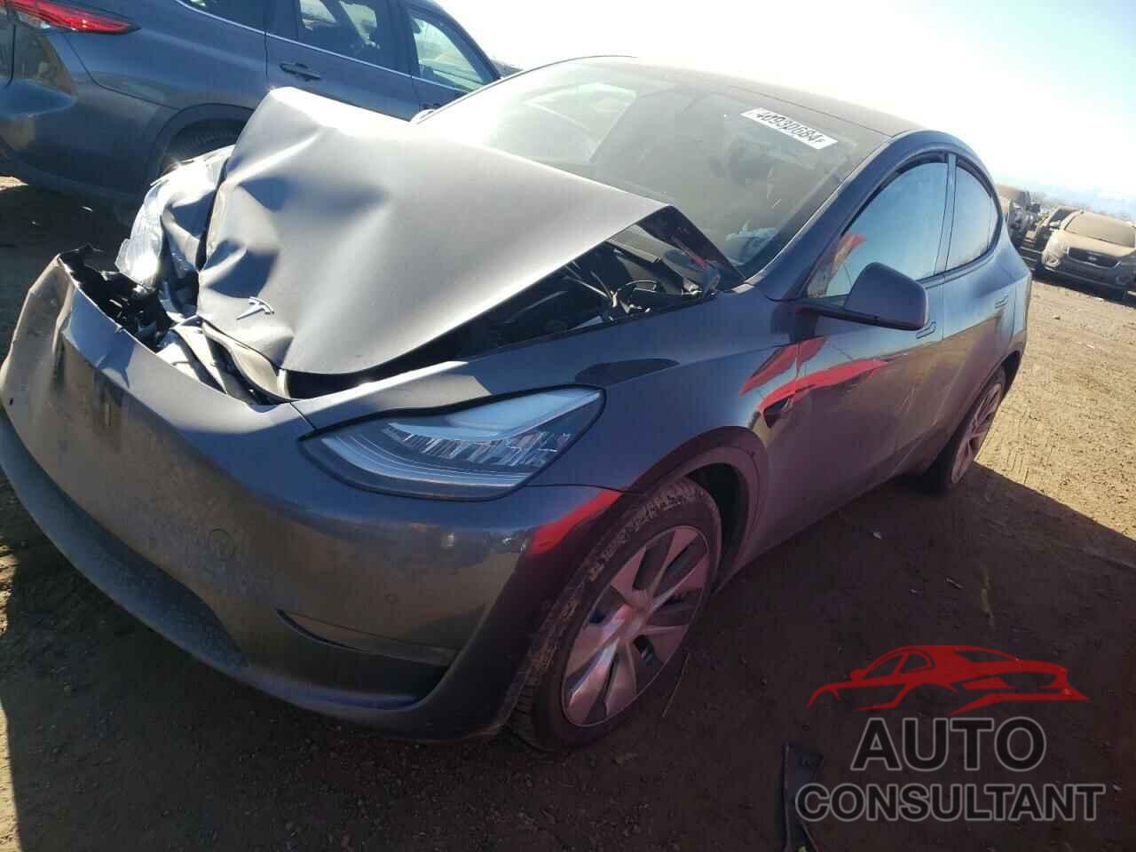 TESLA MODEL Y 2022 - 7SAYGDEE2NF448505