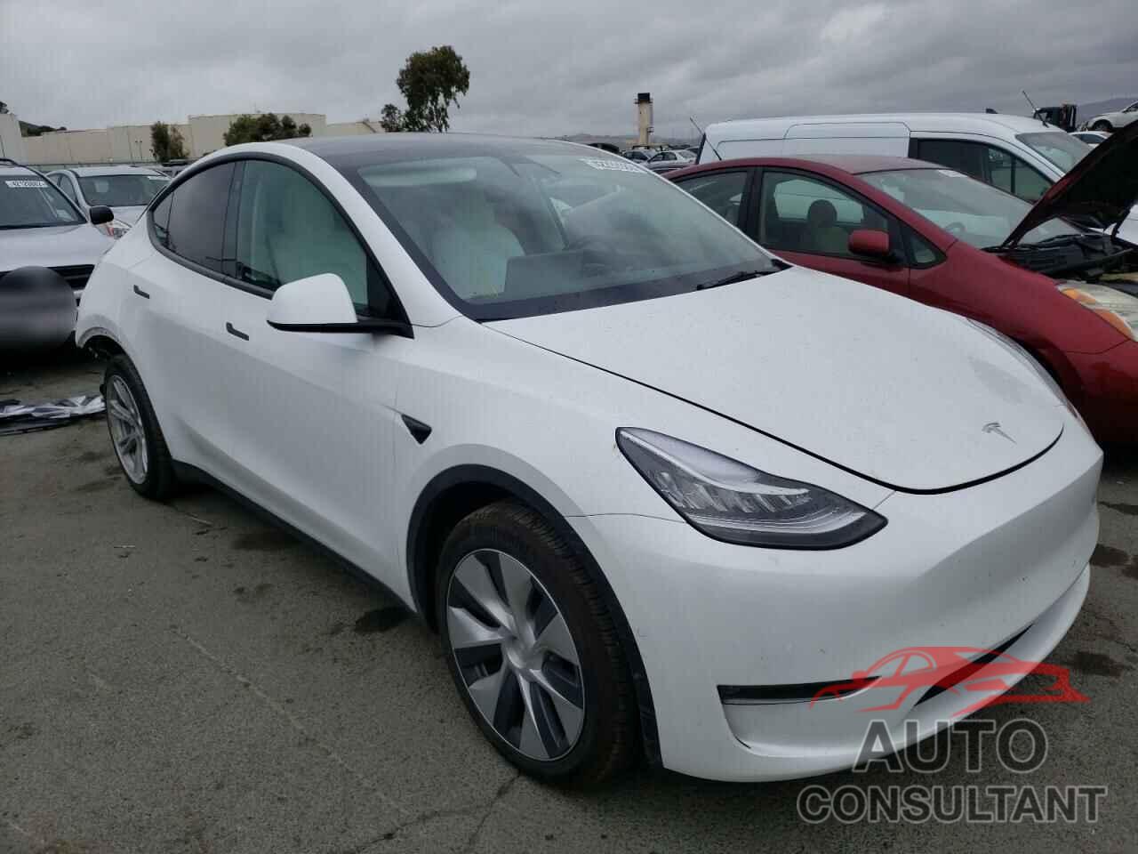 TESLA MODEL Y 2021 - 5YJYGAEE5MF295094