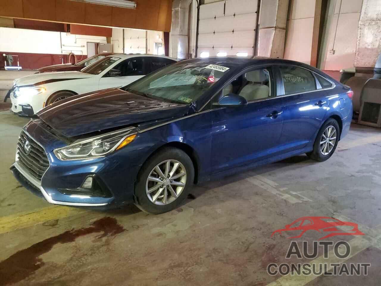 HYUNDAI SONATA 2019 - 5NPE24AF9KH764719