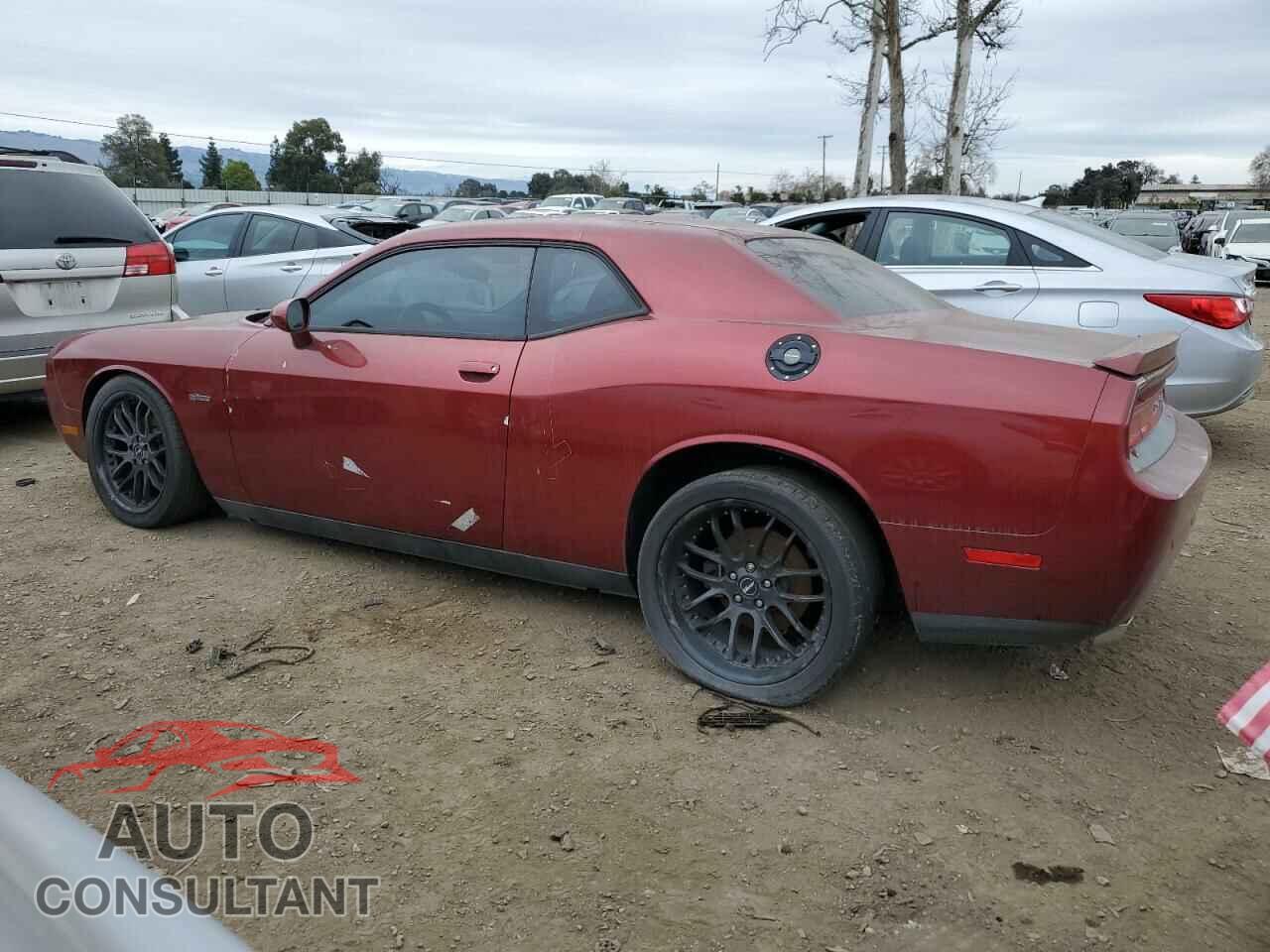 DODGE CHALLENGER 2014 - 2C3CDYBT7EH294396