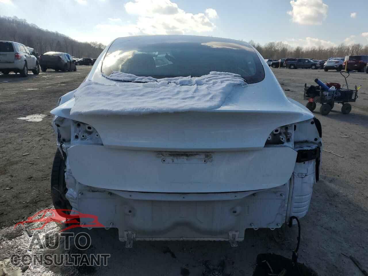 TESLA MODEL 3 2020 - 5YJ3E1EC2LF624265