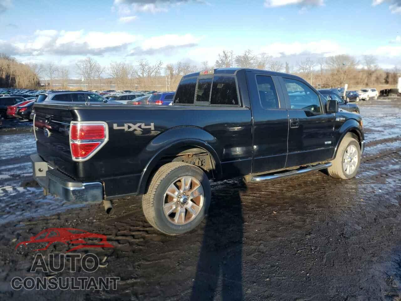 FORD F-150 2011 - 1FTFX1ET2BFA76222