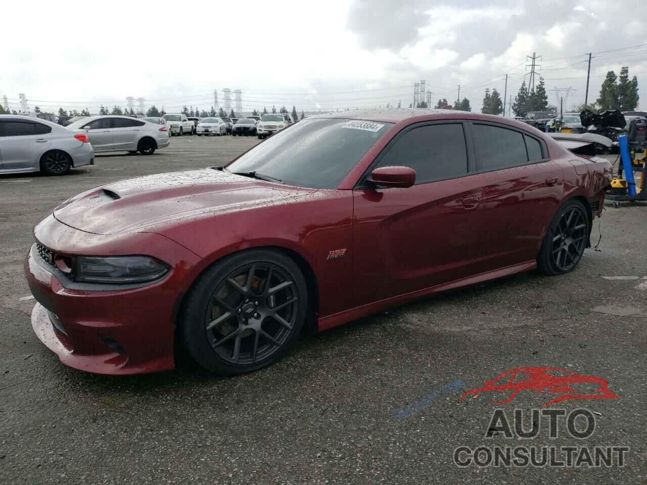 DODGE CHARGER 2019 - 2C3CDXGJ6KH530727
