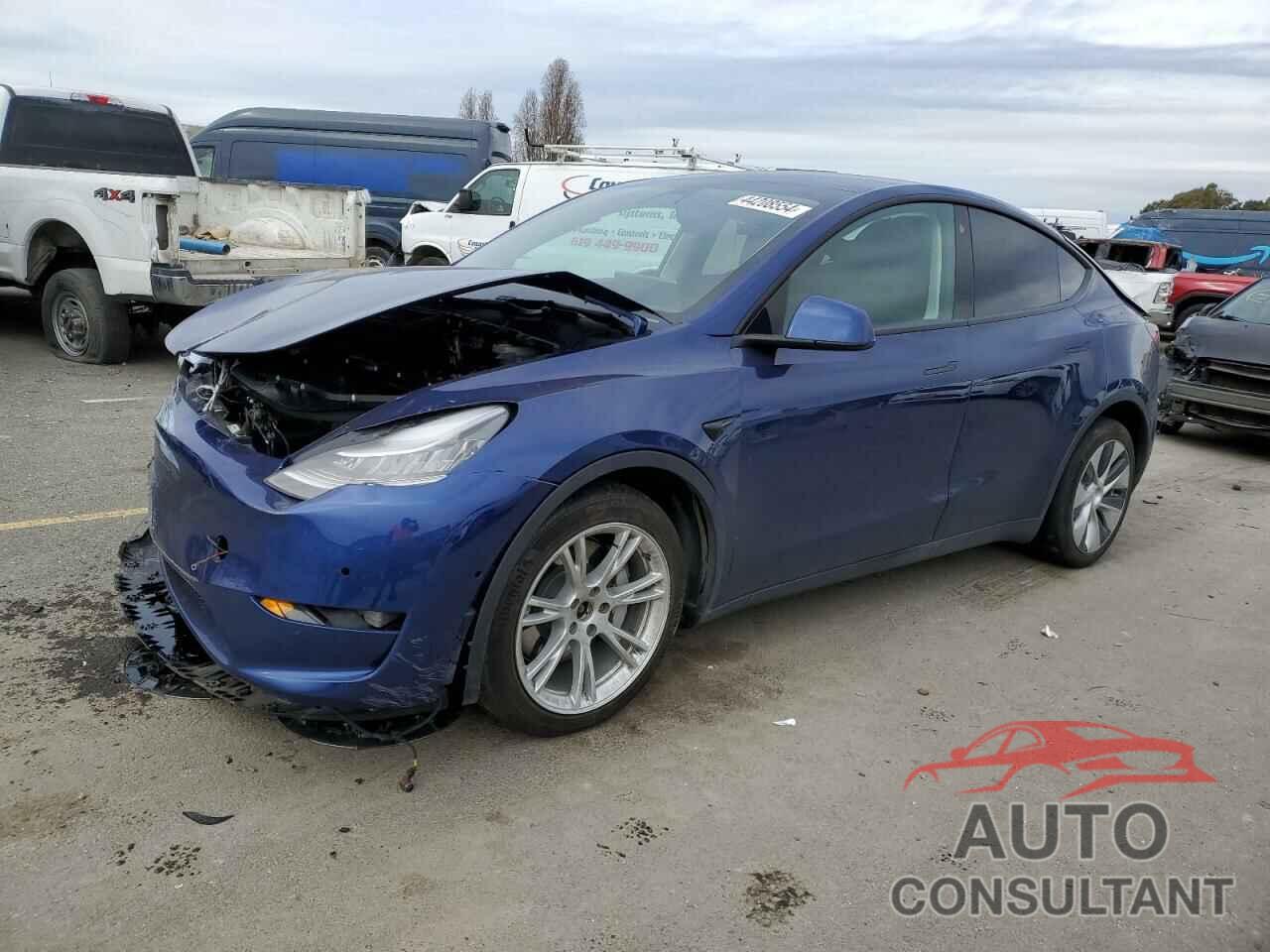 TESLA MODEL Y 2021 - 5YJYGDEE6MF089509