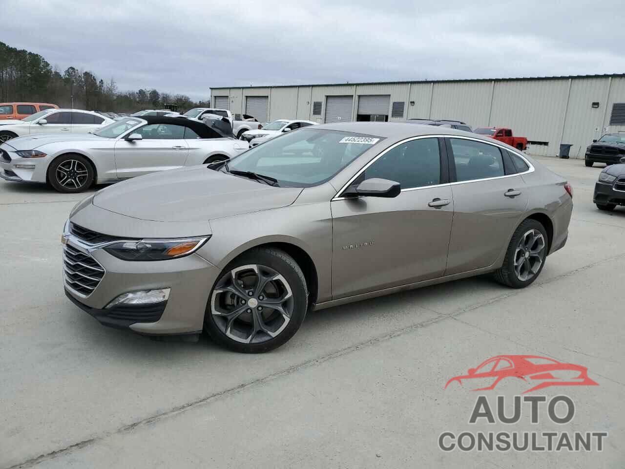 CHEVROLET MALIBU 2022 - 1G1ZD5ST1NF116160