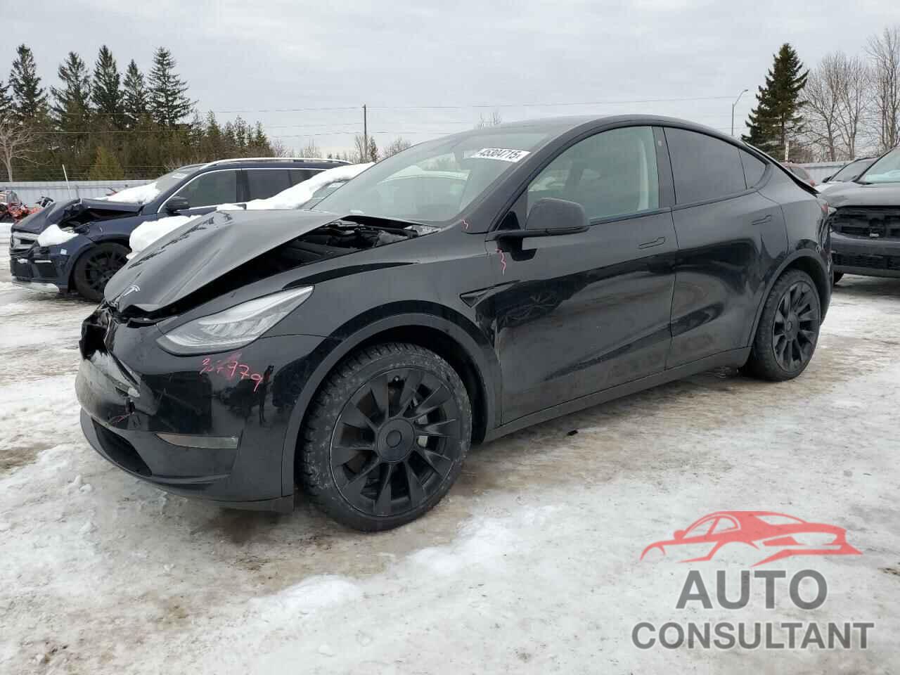 TESLA MODEL Y 2021 - 5YJYGDEE6MF089008