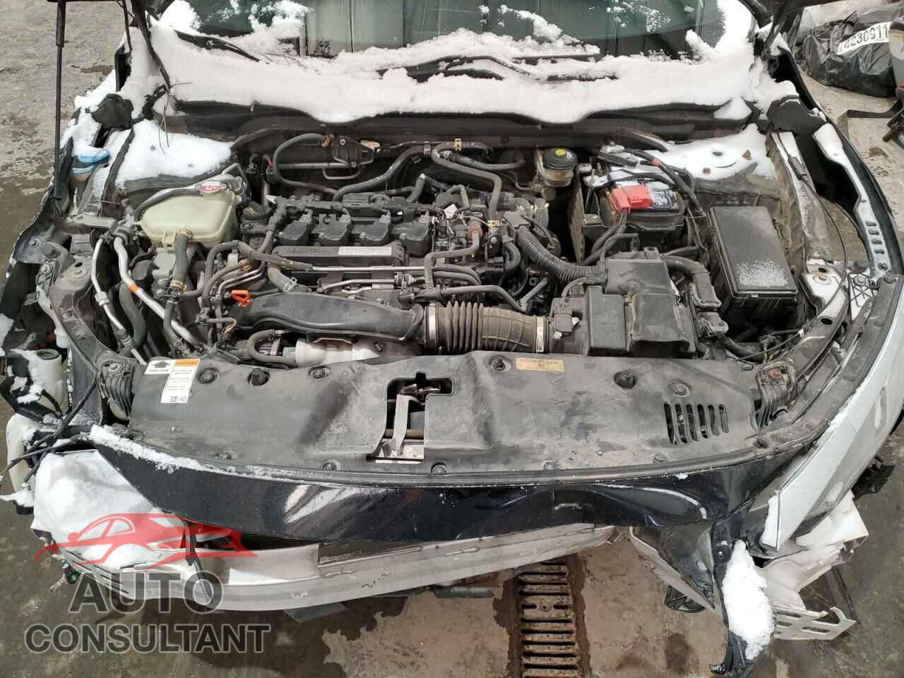 HONDA CIVIC 2016 - 2HGFC3B77GH361858