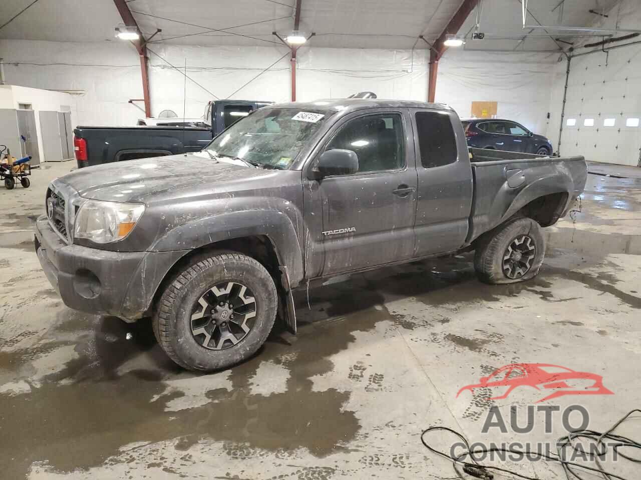 TOYOTA TACOMA 2011 - 5TFUX4EN8BX005448