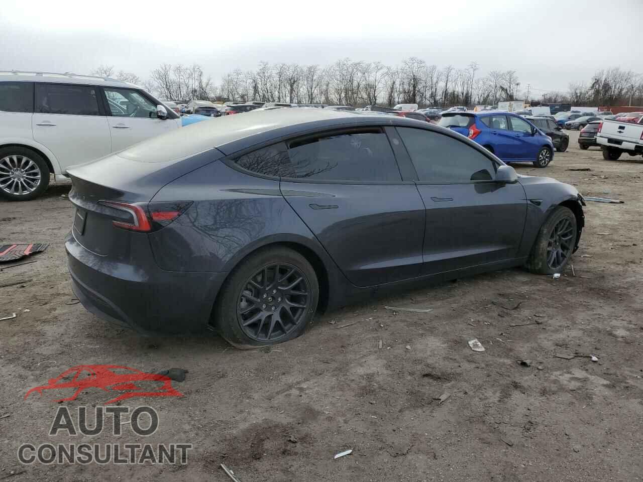 TESLA MODEL 3 2024 - 5YJ3E1EA2RF741934