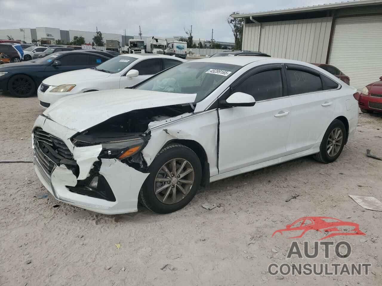 HYUNDAI SONATA 2019 - 5NPE24AF1KH805375