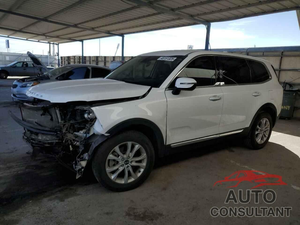 KIA TELLURIDE 2021 - 5XYP24HC5MG193678