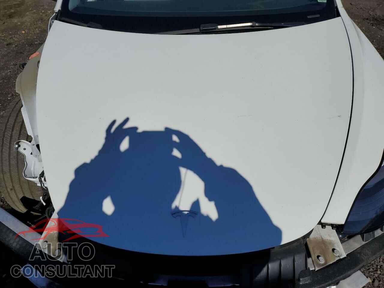 TESLA MODEL 3 2021 - 5YJ3E1EA7MF088879