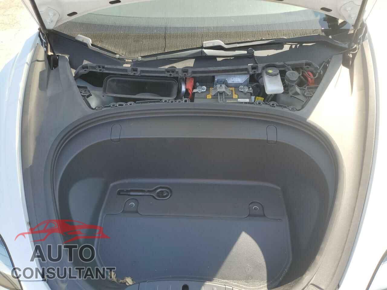 TESLA MODEL 3 2019 - 5YJ3E1EA3KF483719