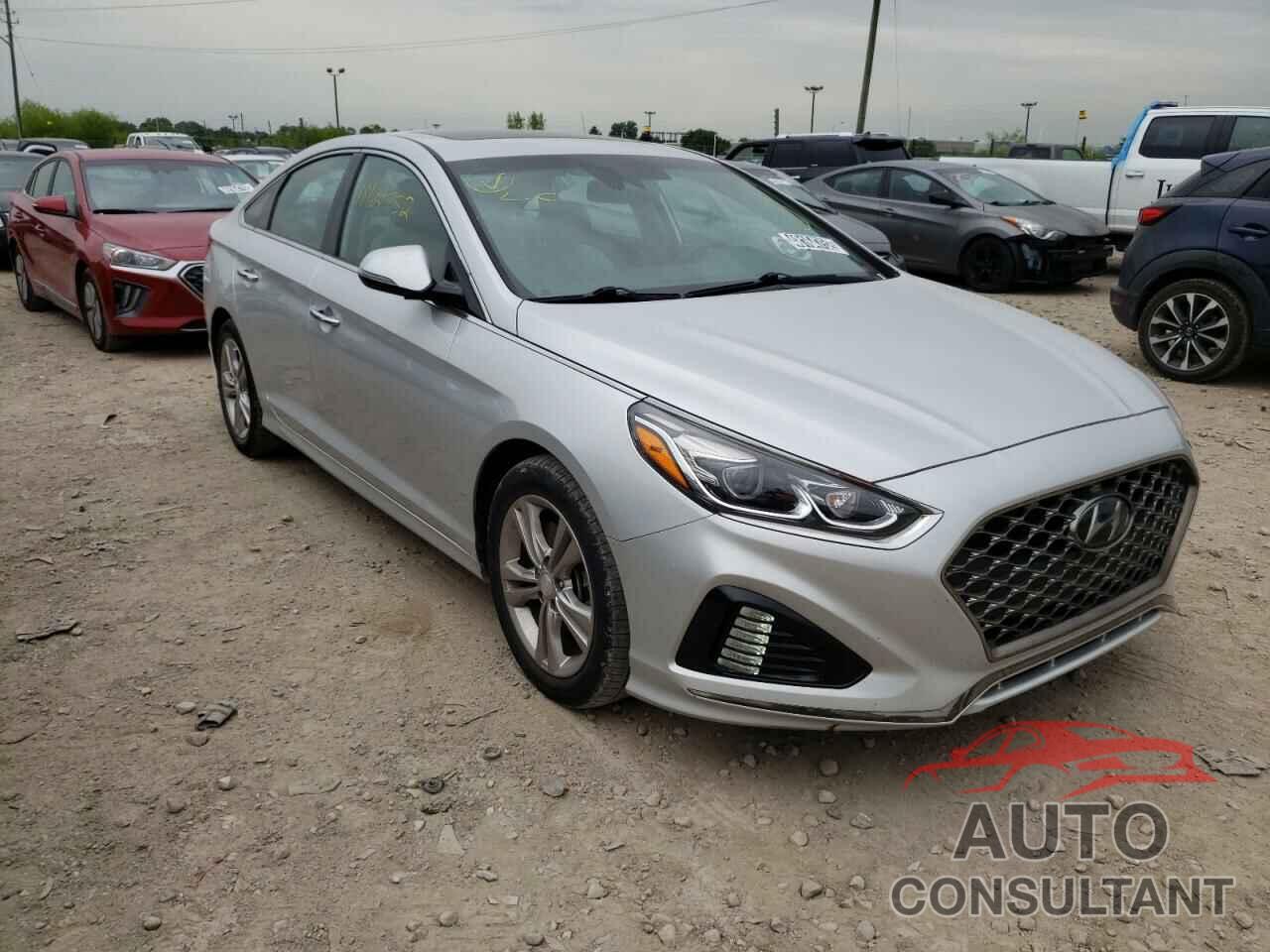 HYUNDAI SONATA 2019 - 5NPE34AF5KH749664
