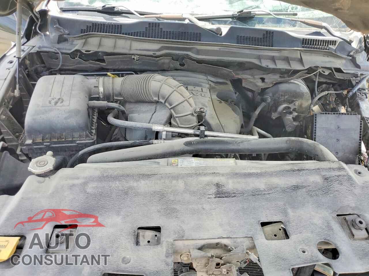 DODGE RAM 1500 2011 - 1D7RB1CT1BS534716