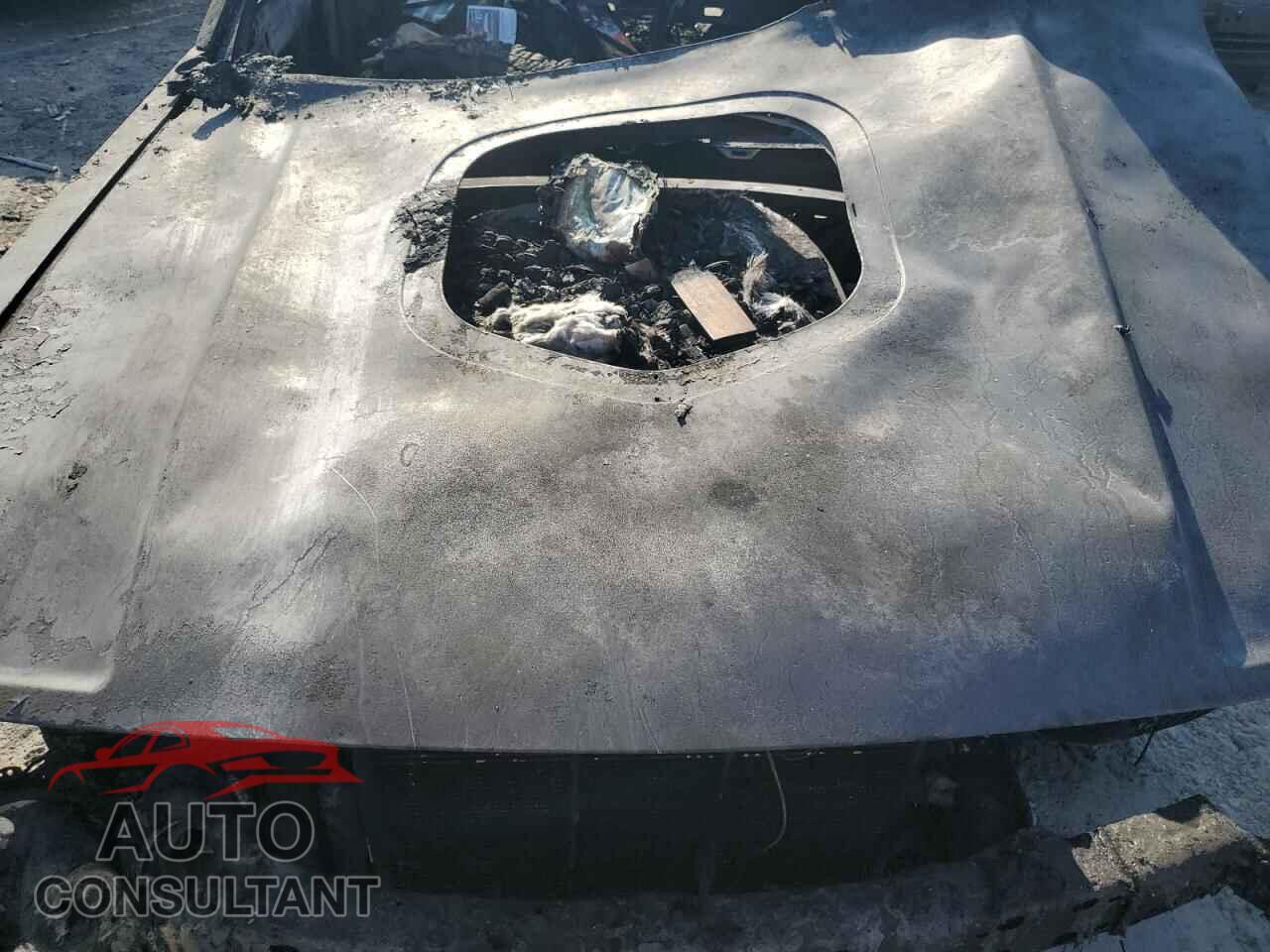 DODGE CHALLENGER 2019 - 2C3CDZFJ9KH719627