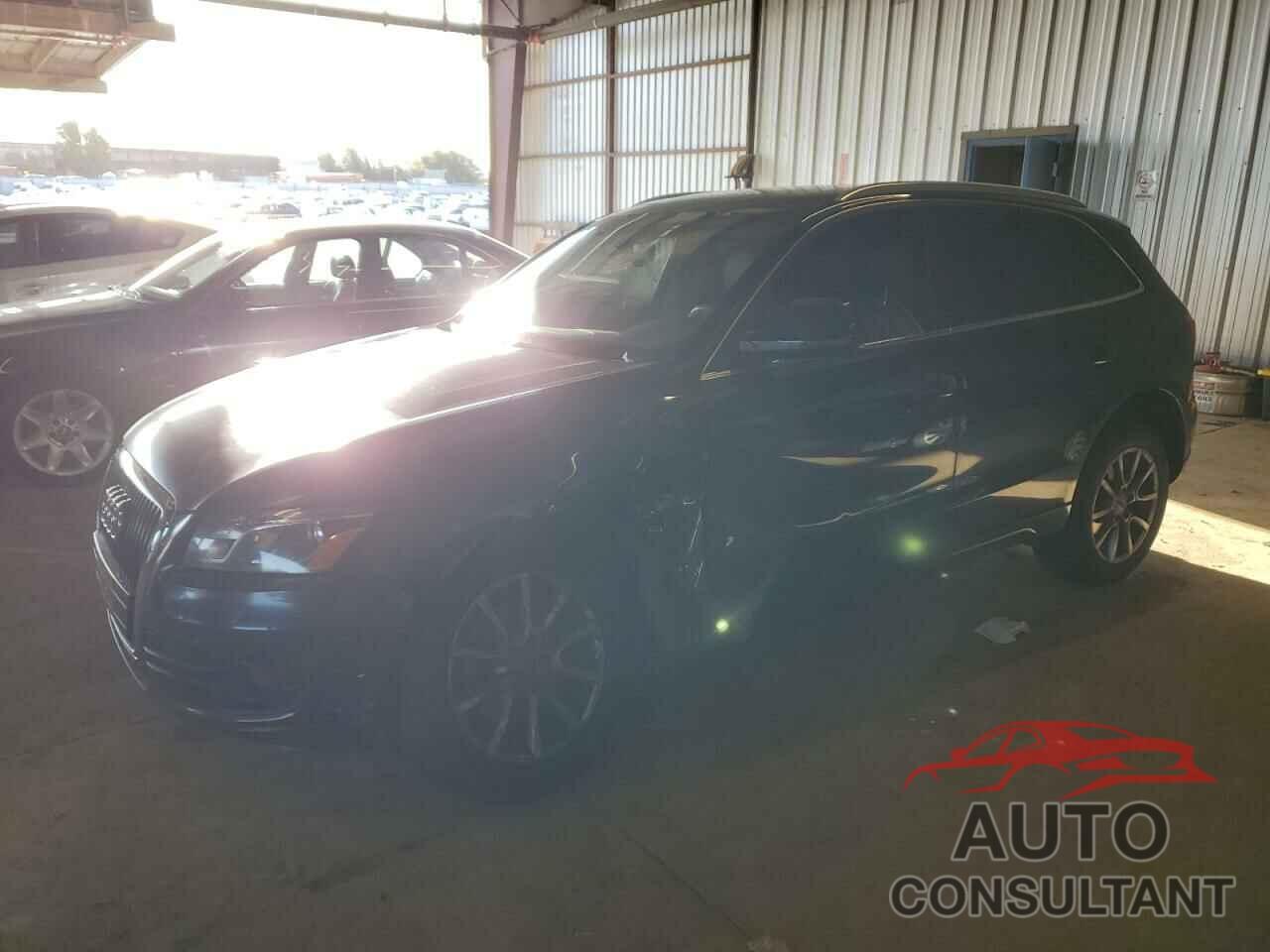 AUDI Q5 2010 - WA1LKAFP5AA019098