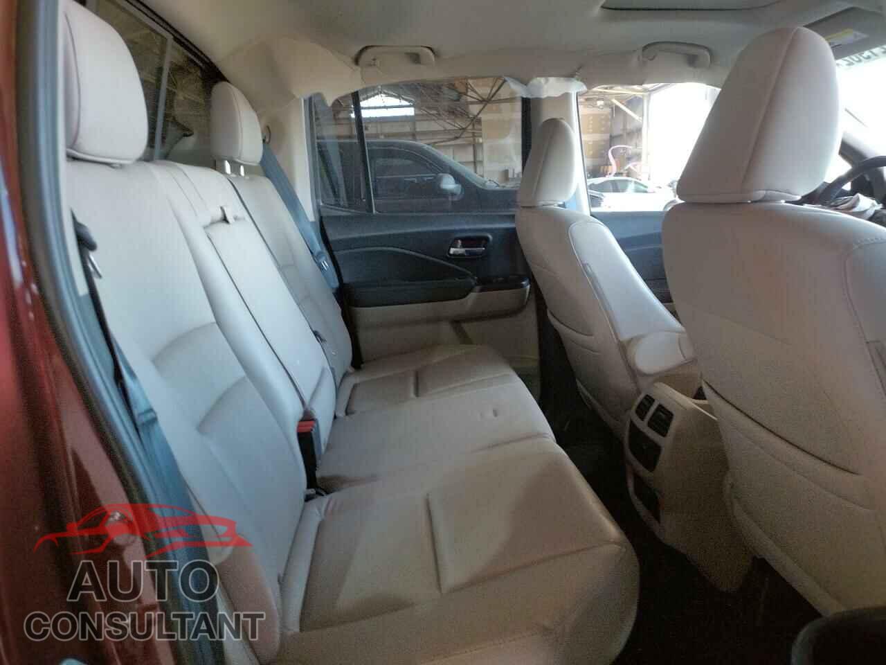 HONDA RIDGELINE 2019 - 5FPYK2F50KB007585