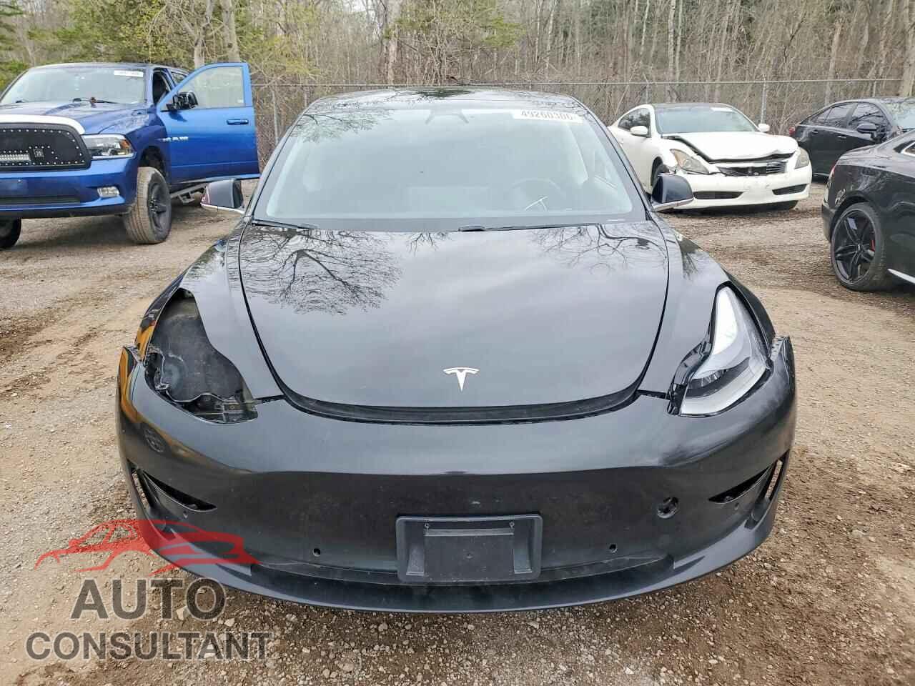 TESLA MODEL 3 2019 - 5YJ3E1EA2KF422569
