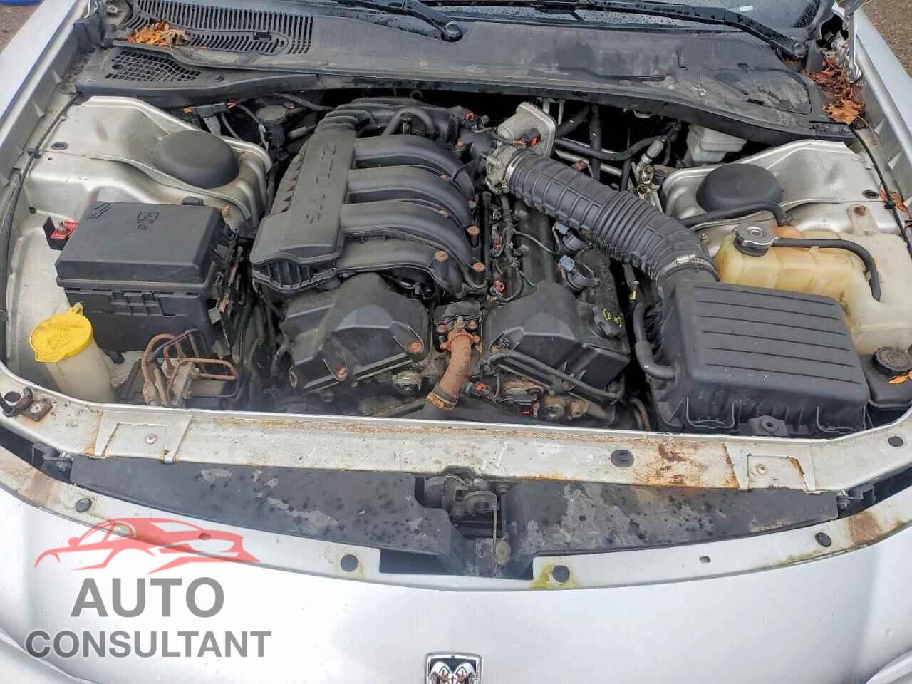 DODGE CHARGER 2010 - 2B3CA4CD4AH118261