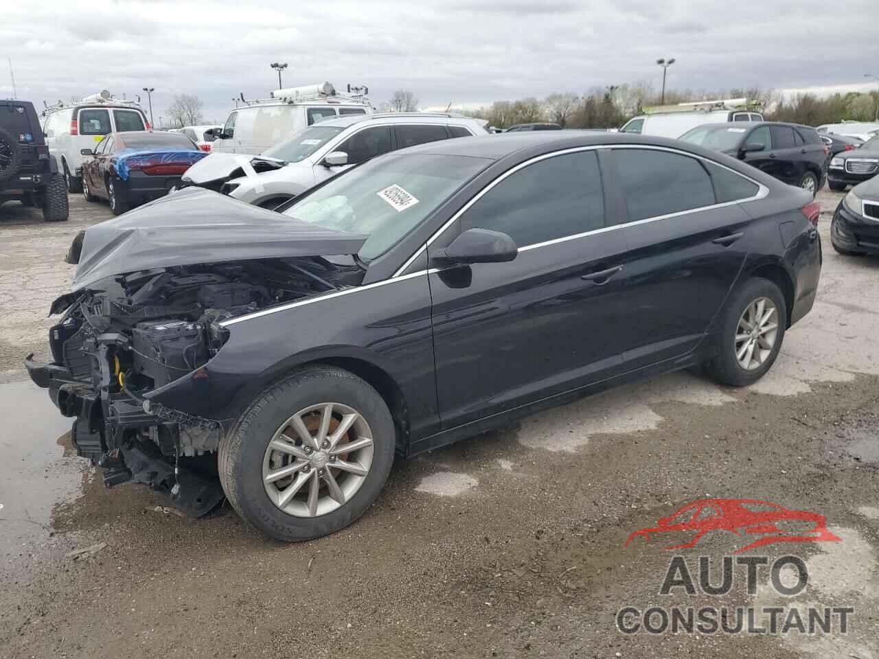 HYUNDAI SONATA 2019 - 5NPE24AF3KH742649