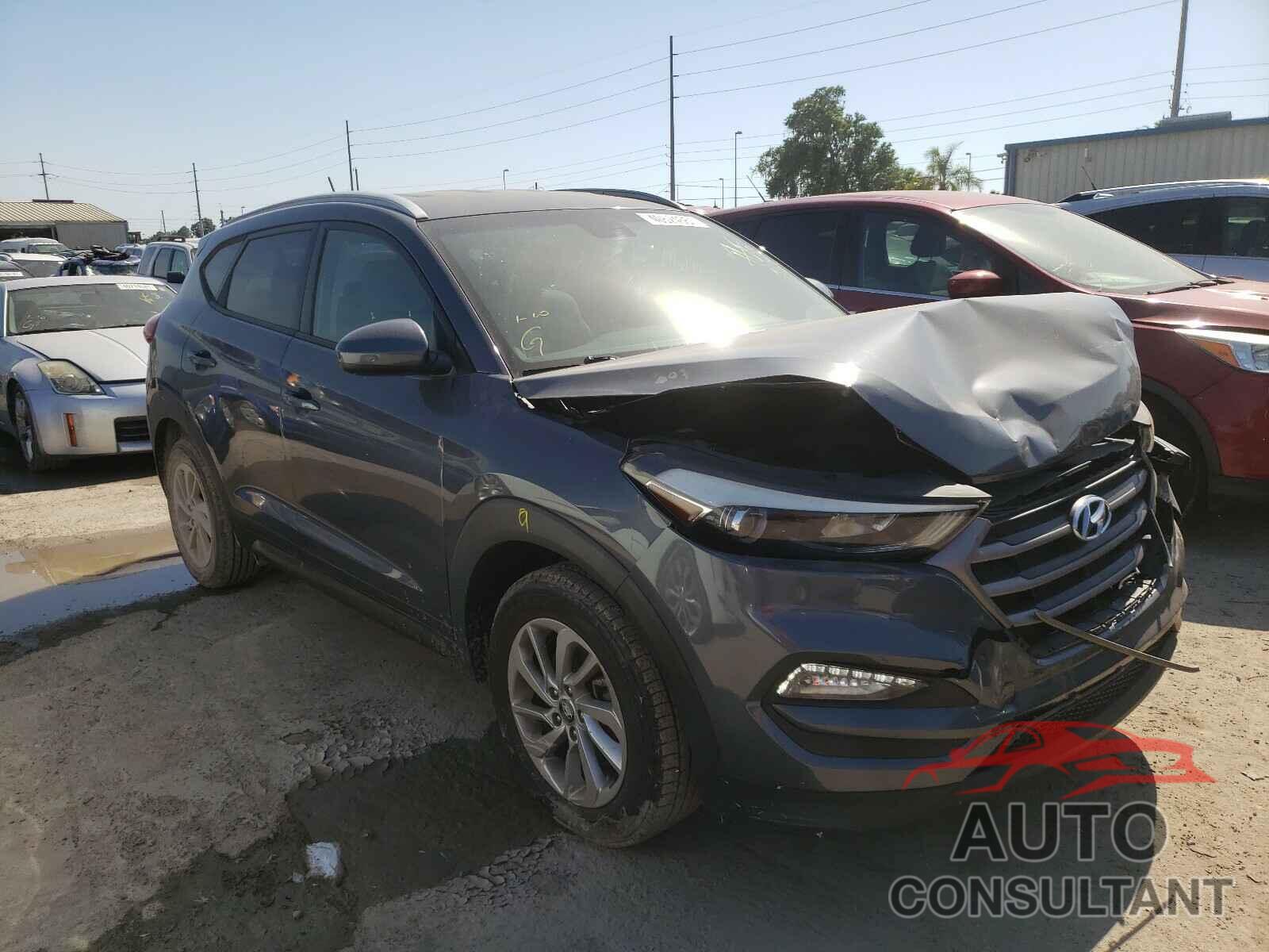 HYUNDAI TUCSON 2016 - KM8J33A41GU119477