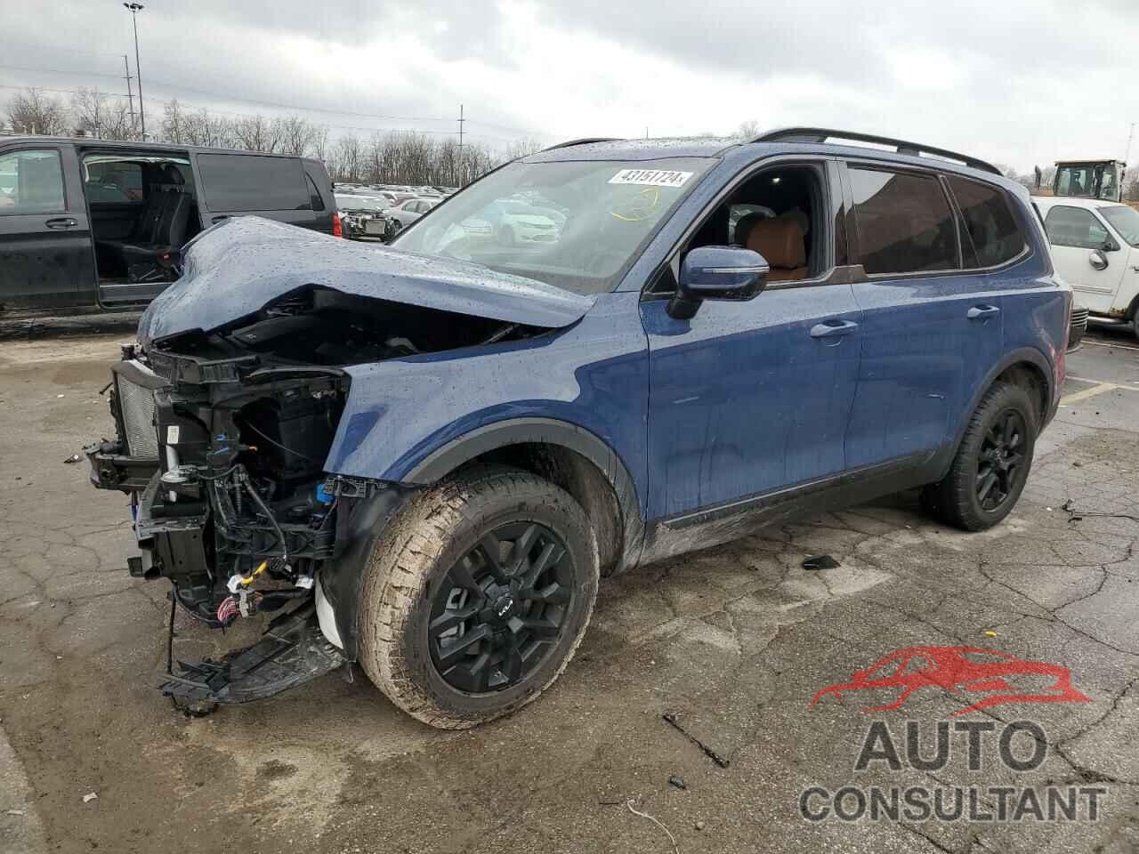 KIA TELLURIDE 2024 - 5XYP5DGC2RG454555