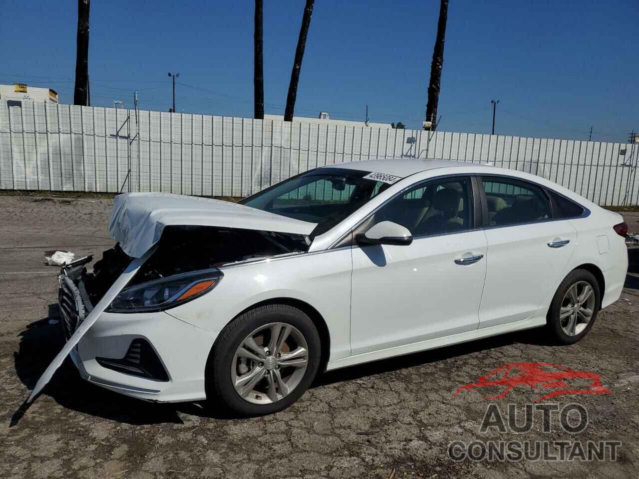 HYUNDAI SONATA 2018 - 5NPE34AF1JH645848