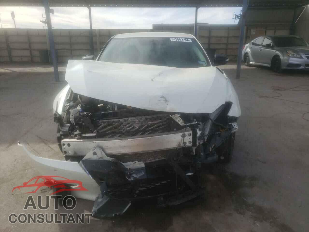 NISSAN MAXIMA 2016 - 1N4AA6AP1GC391769